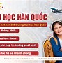 Cấm Xuất Khẩu Lao Đông Hàn Quốc 2020 Pdf