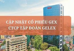 Cty Cp Tập Đoàn Gelex