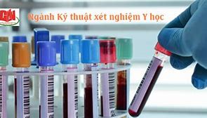 Kỹ Thuật Xét Nghiệm Y Học Xét Khối Nào