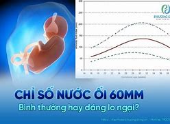 Lượng Nước Ối Ở Tuần 37