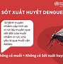 Sốt Xuất Huyết Có Truyền Nước Biển Được Không